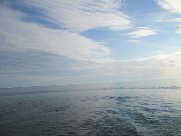 Ольга Масленникова