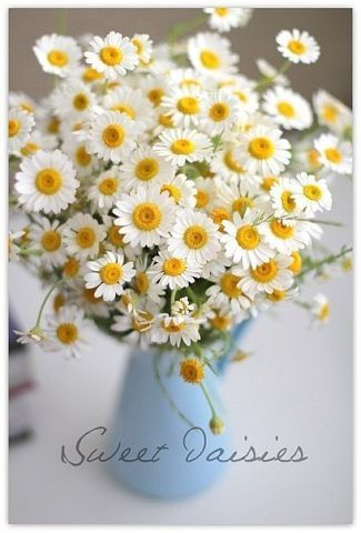 Наташа Галкина