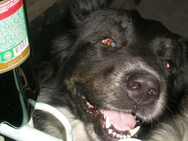 Артём Базилевский