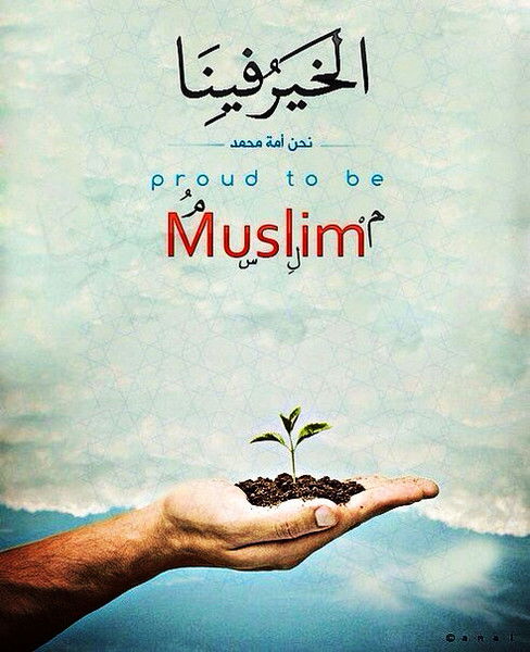 Бегижан Курбанкулыев