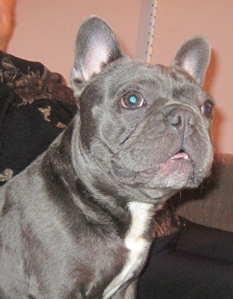 Елена Гулянова