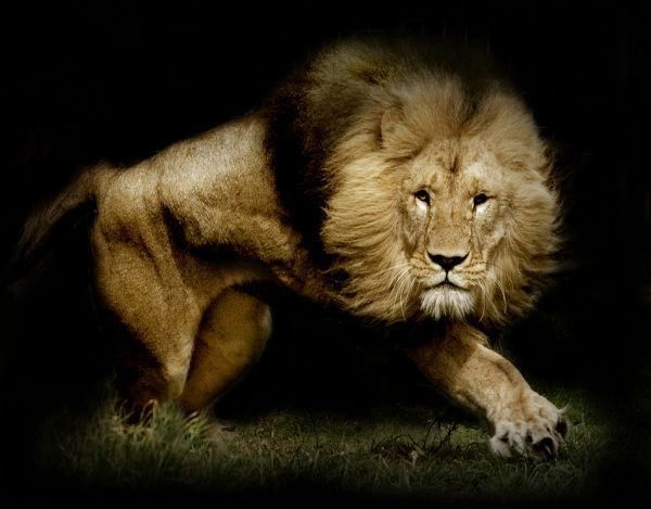 Нуржан Жумабай