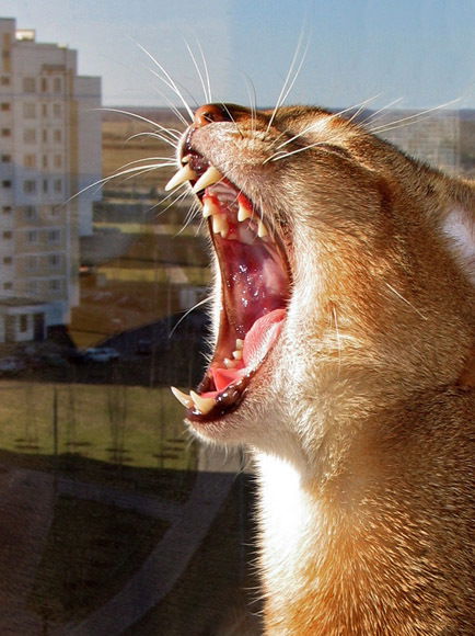 Валерий Unknown