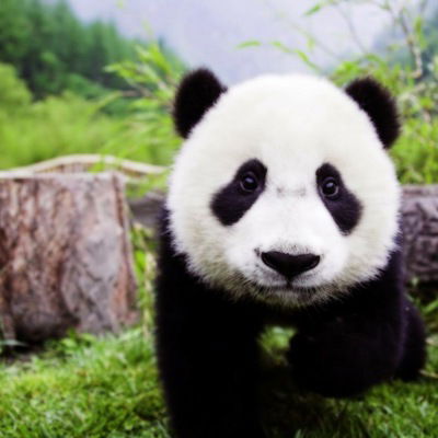 Настя Яковлева