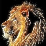 Николай Кротов