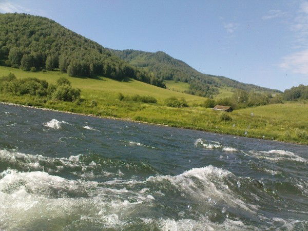 Надежда Беспаликова