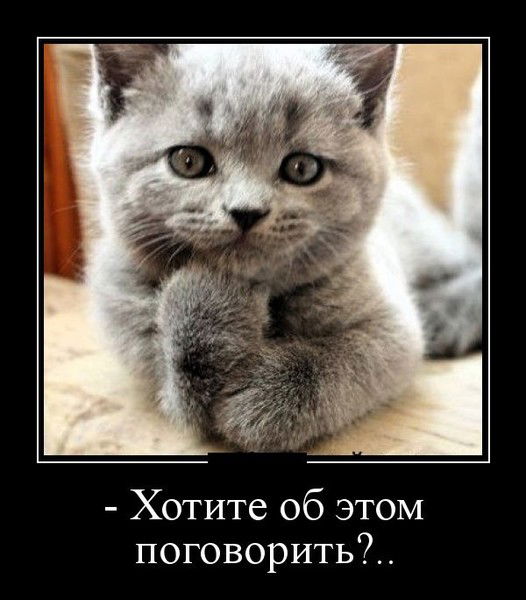 Настя Недевидова