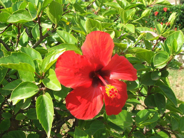 Ульяна Завгородняя