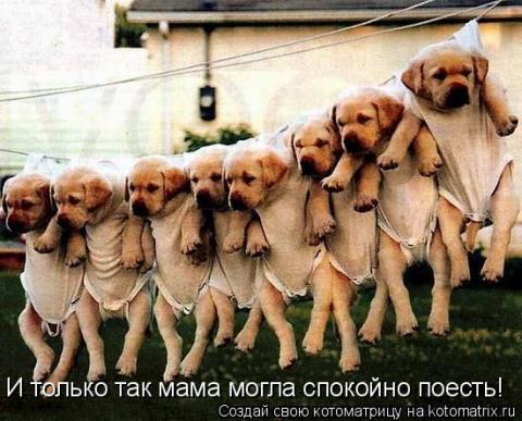 можно дать человеку рыбу и он будет сыт один день научи человека ловить рыбу. Смотреть фото можно дать человеку рыбу и он будет сыт один день научи человека ловить рыбу. Смотреть картинку можно дать человеку рыбу и он будет сыт один день научи человека ловить рыбу. Картинка про можно дать человеку рыбу и он будет сыт один день научи человека ловить рыбу. Фото можно дать человеку рыбу и он будет сыт один день научи человека ловить рыбу