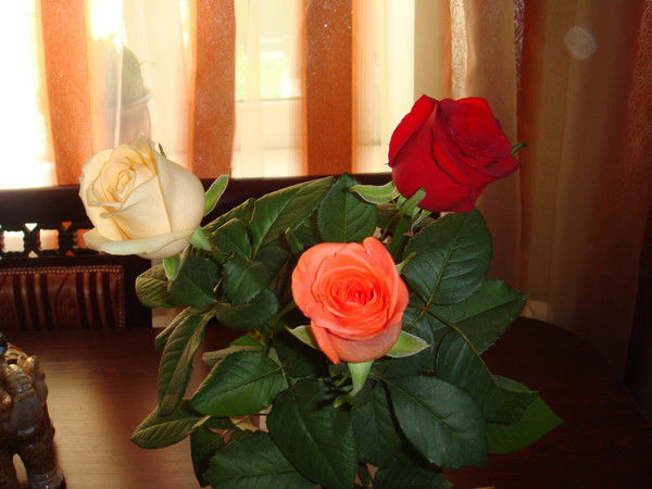 Айлана Темирова