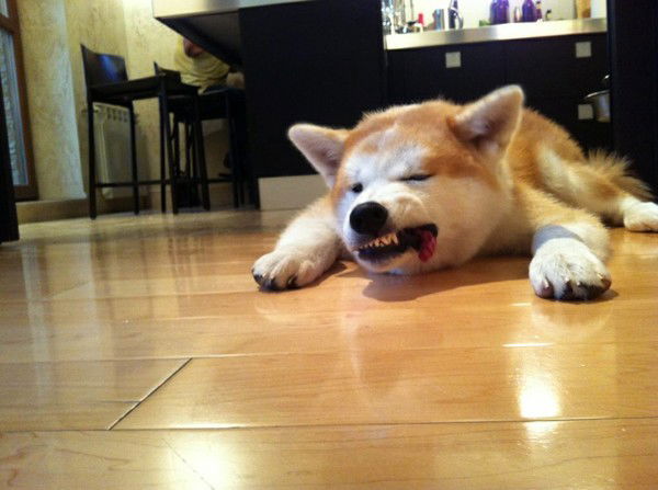 Владимир Бунчук