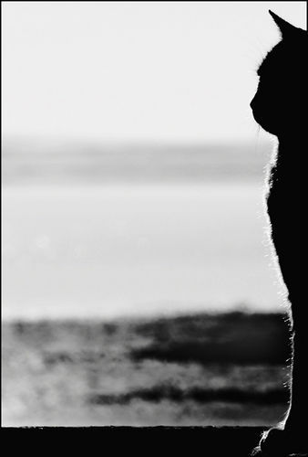 Анастасия Гурская