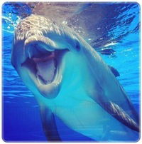 Миланочка ***