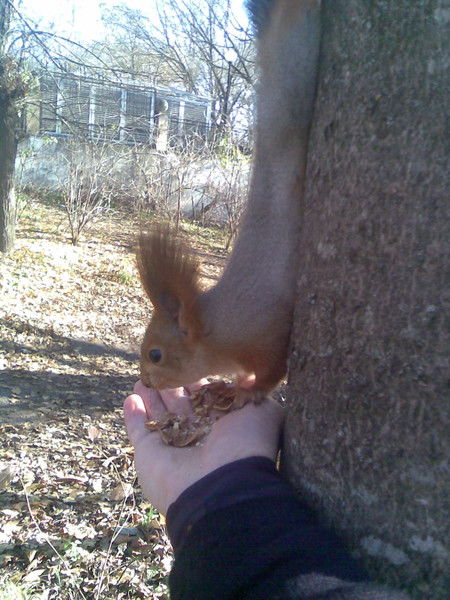 Закир Каибов