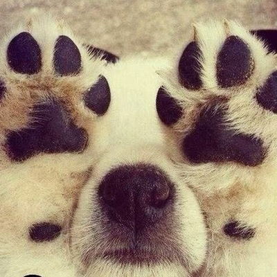 Амина Амина