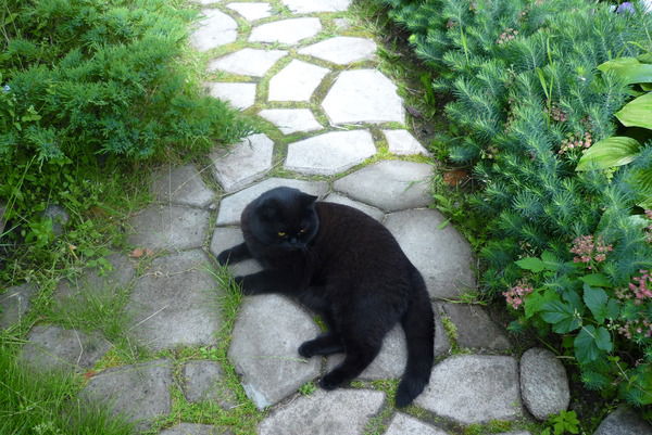 Любовь Недорезова