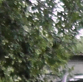 Светлана Mигита