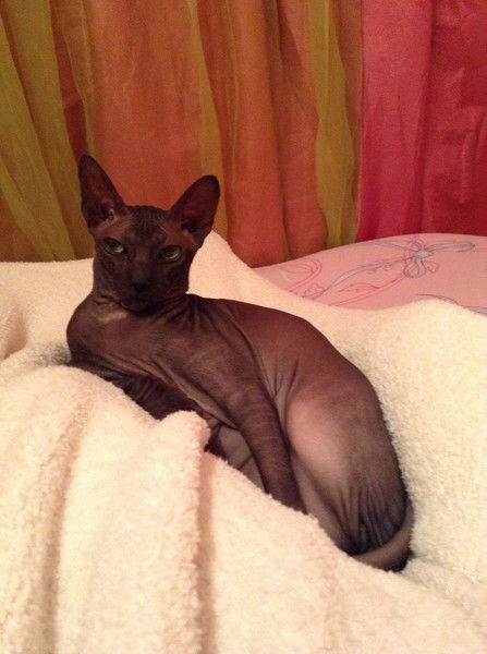 Людмила Литовченко