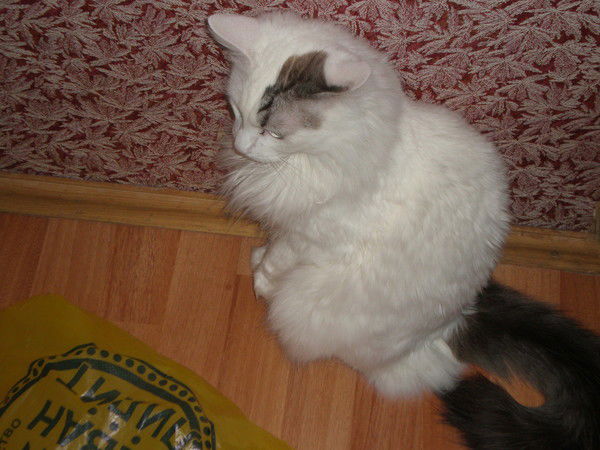 Татьяна Терентьева