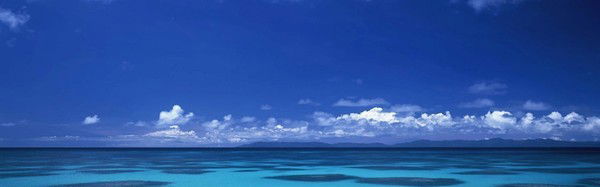 Боря Андреев