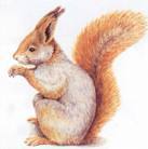 Полина Свиридова