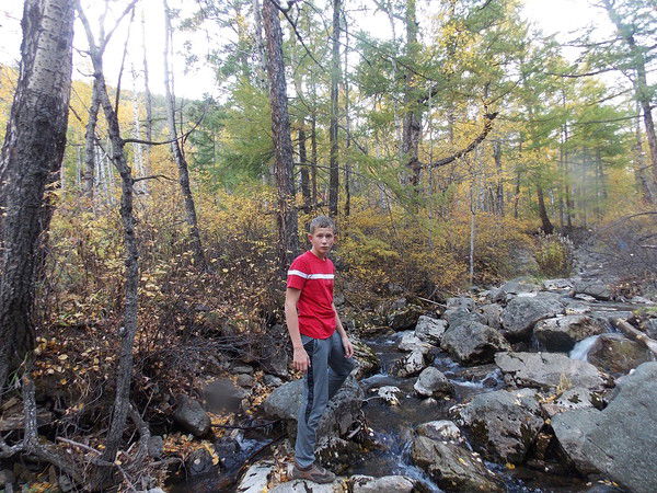 Владимир Трофимов