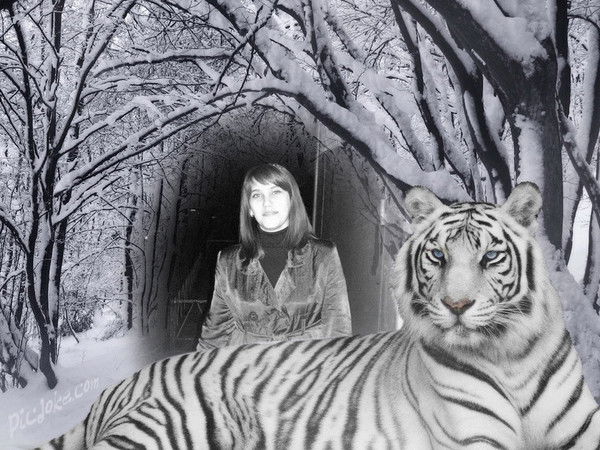 Алёна Михайлина