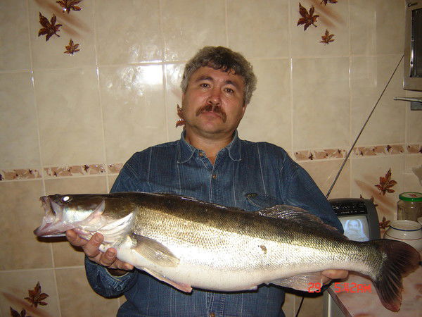 Андрей Викулин