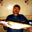 Андрей Викулин