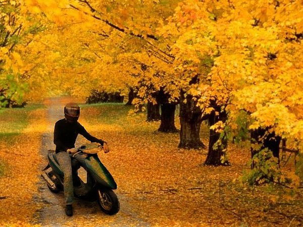 Андрей Янголь