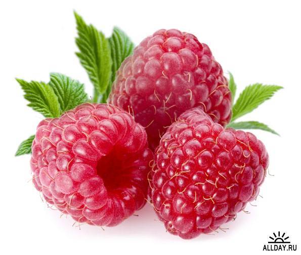 Мария Морозова