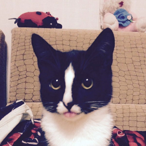 Максимка =))))))