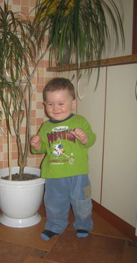 Вадим Косторев