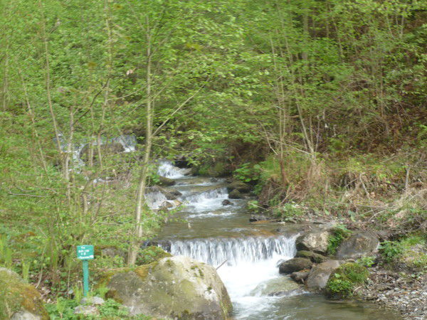 Виталий Климко