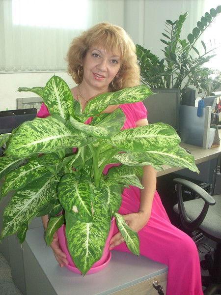 Ирина Моисеева