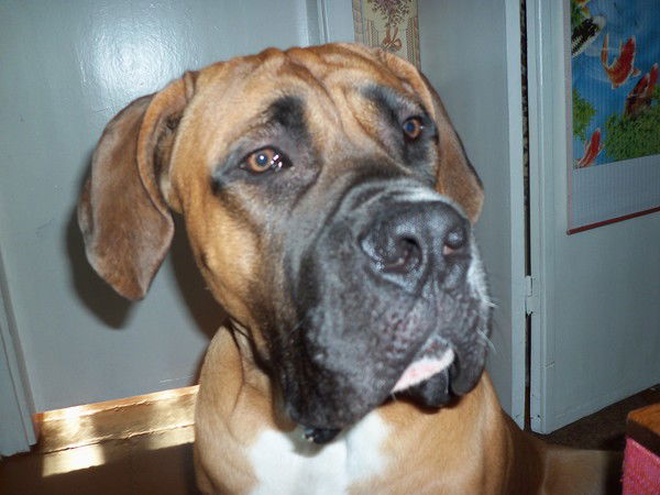 Катюша Парамонова(Крюкова)