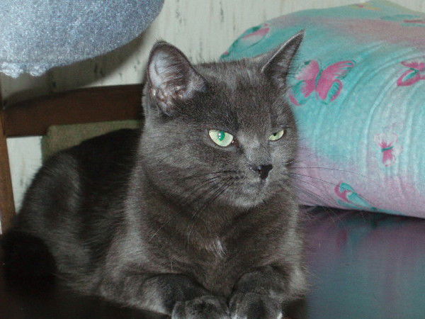 Юрий Хотиненко