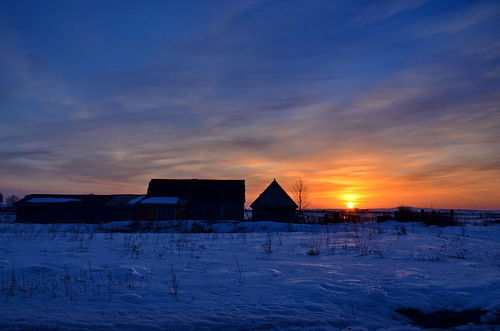 Данил Фатеев