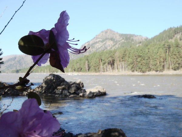 Наталья Еварестова