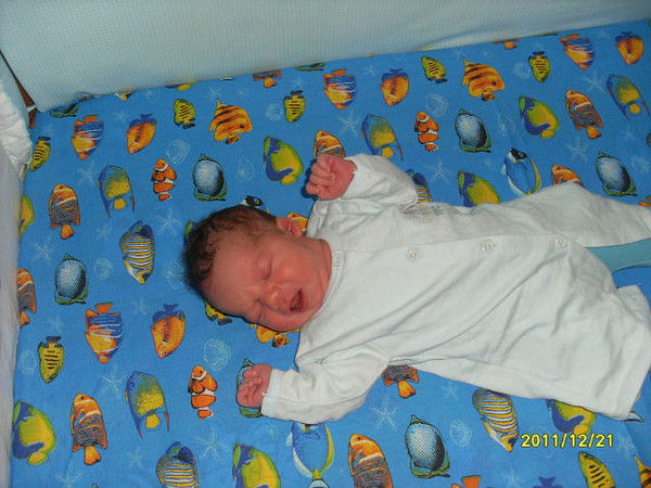 Татьяна Шевцова