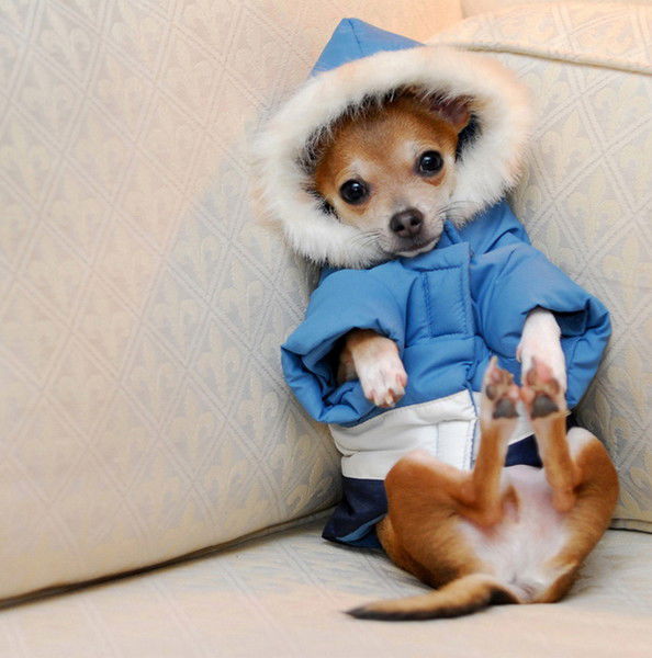 Ольга Оленька