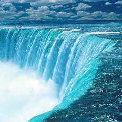 Саня Науменко