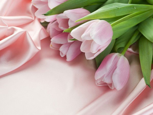 Ольга Агибалова