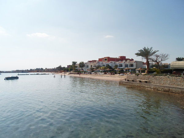 Светлана Синицина