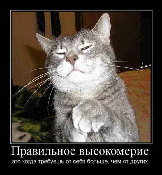 Саша Осипов