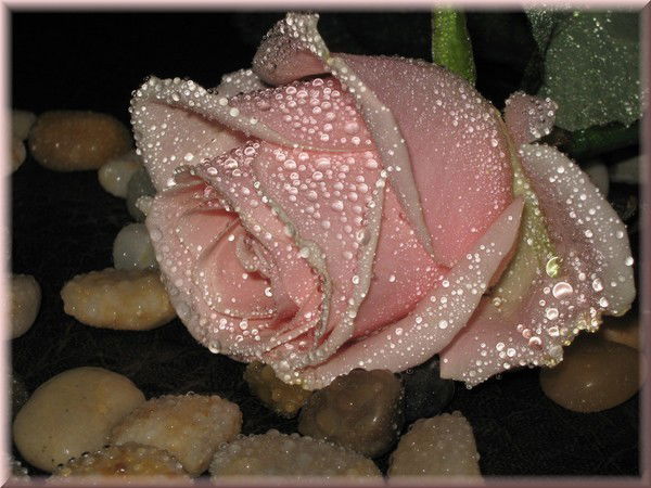 Зухра Саидова