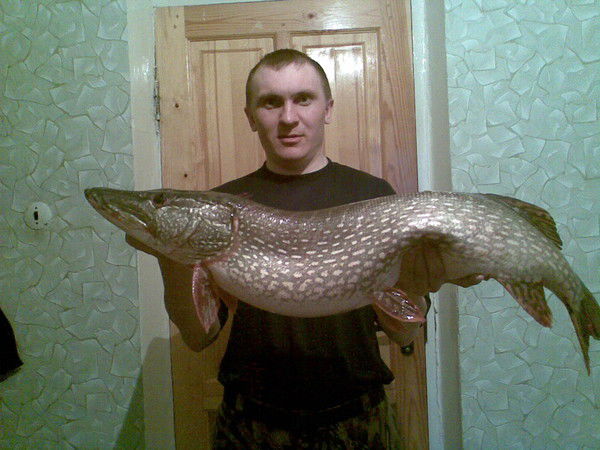 Вячеслав Трифонов