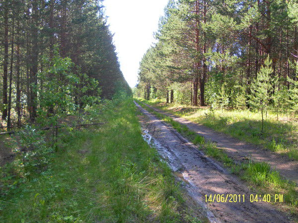 Людмила Ткач