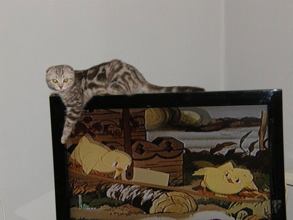 Валентин Норец