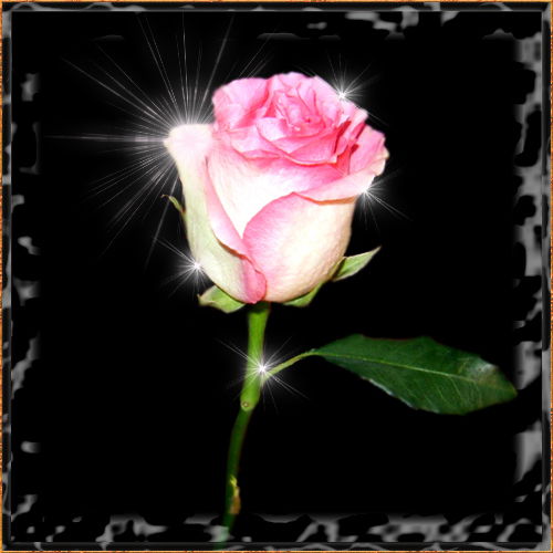 Вероника Вероника